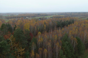 Działka na sprzedaż 26000m2 miński Siennica Strugi Krzywickie - zdjęcie 3