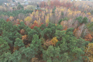 Działka na sprzedaż 26000m2 miński Siennica Strugi Krzywickie - zdjęcie 1