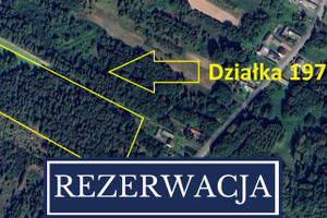 Działka na sprzedaż 18100m2 przysuski Borkowice Niska Jabłonica - zdjęcie 2