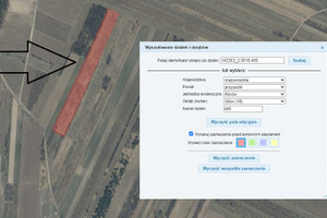 Działka na sprzedaż 13500m2 przysuski Klwów Ulów - zdjęcie 2