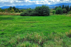 Działka na sprzedaż 10549m2 Jelenia Góra Goduszyn - zdjęcie 1