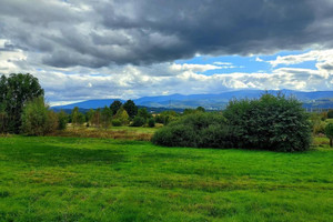 Działka na sprzedaż 10549m2 Jelenia Góra Goduszyn - zdjęcie 2