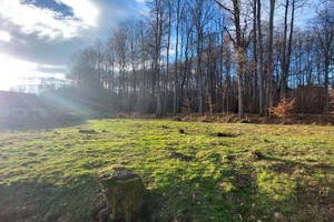 Działka na sprzedaż 1250m2 karkonoski Jeżów Sudecki Dziwiszów - zdjęcie 3