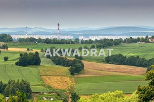 Działka na sprzedaż 1485m2 wałbrzyski Walim Dziećmorowice - zdjęcie 1