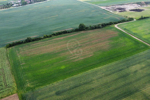 Działka na sprzedaż 26950m2 trzebnicki Zawonia Sędzice - zdjęcie 1