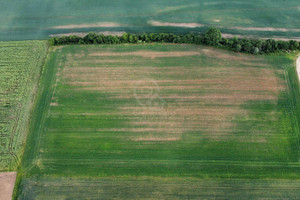 Działka na sprzedaż 26950m2 trzebnicki Zawonia Sędzice - zdjęcie 2