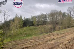 Działka na sprzedaż 9516m2 kartuski Przodkowo Kłosowo Spacerowa - zdjęcie 2