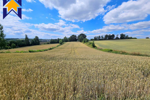 Działka na sprzedaż krakowski Michałowice Masłomiąca Jurajska - zdjęcie 2