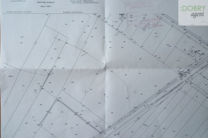 Działka na sprzedaż 33311m2 lubelski Wólka Łuszczów Pierwszy - zdjęcie 1