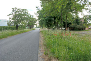 Działka na sprzedaż 27000m2 skierniewicki Kowiesy - zdjęcie 4