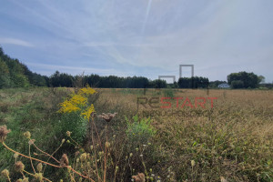 Działka na sprzedaż 18540m2 grodziski Żabia Wola Słubica A - zdjęcie 2