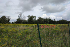 Działka na sprzedaż 22000m2 grodziski Grodzisk Mazowiecki Chlebnia - zdjęcie 3