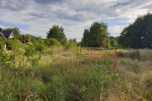 Działka na sprzedaż 1099m2 żyrardowski Radziejowice Adamów-Parcel - zdjęcie 3