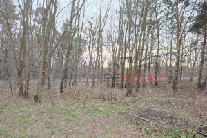 Działka na sprzedaż 1550m2 grodziski Grodzisk Mazowiecki Książenice - zdjęcie 3