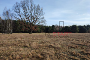 Działka na sprzedaż 1379m2 grodziski Żabia Wola Osowiec - zdjęcie 2