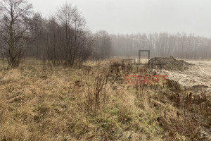 Działka na sprzedaż 3985m2 żyrardowski Radziejowice Zboiska - zdjęcie 2