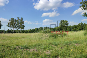 Działka na sprzedaż 1267m2 grodziski Jaktorów - zdjęcie 3