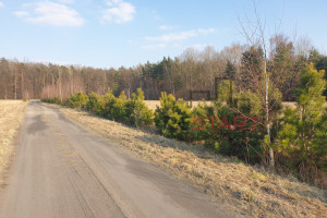 Działka na sprzedaż 5500m2 grodziski Żabia Wola Skuły - zdjęcie 3