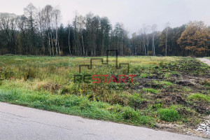 Działka na sprzedaż 4173m2 żyrardowski Radziejowice Adamów-Wieś Dobiegały - zdjęcie 3