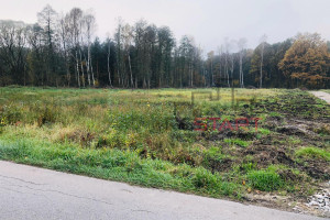 Działka na sprzedaż 4173m2 żyrardowski Radziejowice Adamów-Wieś Dobiegały - zdjęcie 3