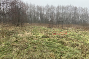 Działka na sprzedaż 3985m2 żyrardowski Radziejowice Zboiska - zdjęcie 3