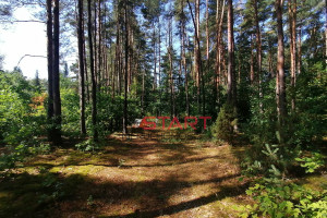 Działka na sprzedaż 3400m2 żyrardowski Radziejowice Krzyżówka - zdjęcie 3