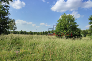 Działka na sprzedaż 1267m2 grodziski Jaktorów - zdjęcie 2