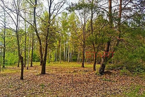 Działka na sprzedaż 1500m2 grodziski Grodzisk Mazowiecki Książenice - zdjęcie 1