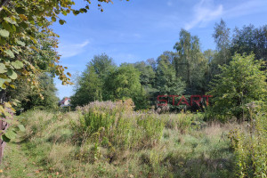 Działka na sprzedaż 3400m2 grodziski Grodzisk Mazowiecki Odrano-Wola - zdjęcie 3