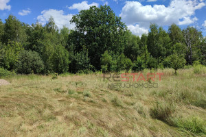 Działka na sprzedaż 1500m2 grodziski Grodzisk Mazowiecki Opypy - zdjęcie 3