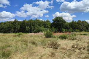 Działka na sprzedaż 1500m2 grodziski Grodzisk Mazowiecki Opypy - zdjęcie 1