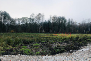 Działka na sprzedaż 4173m2 żyrardowski Radziejowice Adamów-Wieś Dobiegały - zdjęcie 2