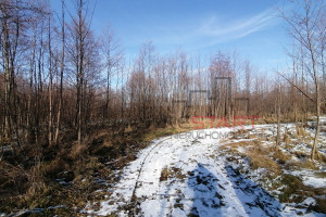 Działka na sprzedaż 1200m2 żyrardowski Radziejowice Stare Budy Radziejowskie - zdjęcie 3