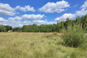 Działka na sprzedaż 1500m2 grodziski Grodzisk Mazowiecki Opypy - zdjęcie 2