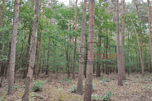 Działka na sprzedaż 2327m2 grodziski Żabia Wola Siestrzeń - zdjęcie 3