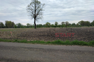 Działka na sprzedaż 1347m2 grodziski Jaktorów Jeżynowa - zdjęcie 2