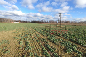 Działka na sprzedaż 27063m2 warszawski zachodni Kampinos Pasikonie - zdjęcie 3