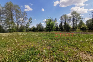 Działka na sprzedaż 53272m2 grodziski Grodzisk Mazowiecki - zdjęcie 3