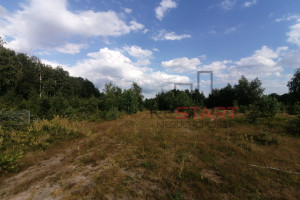 Działka na sprzedaż 2035m2 żyrardowski Radziejowice Korytów - zdjęcie 2