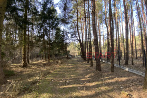 Działka na sprzedaż 2869m2 grodziski Żabia Wola Siestrzeń - zdjęcie 1