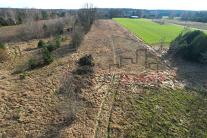 Działka na sprzedaż 21500m2 żyrardowski Puszcza Mariańska Stary Karolinów - zdjęcie 3