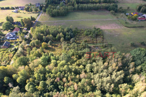 Działka na sprzedaż 1481m2 grodziski Żabia Wola Bartoszówka Borówkowa - zdjęcie 3