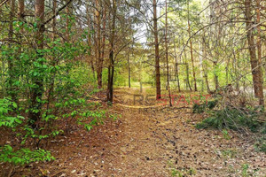 Działka na sprzedaż 1500m2 grodziski Grodzisk Mazowiecki Książenice - zdjęcie 2