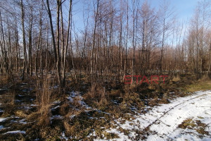 Działka na sprzedaż 1200m2 żyrardowski Radziejowice Stare Budy Radziejowskie - zdjęcie 2