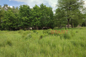 Działka na sprzedaż 3000m2 pruszkowski Nadarzyn Urzut - zdjęcie 1