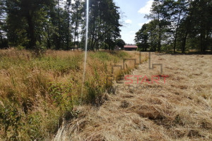 Działka na sprzedaż 3500m2 grodziski Jaktorów - zdjęcie 2