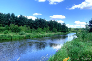 Działka na sprzedaż 21900m2 wołomiński Jadów Iły - zdjęcie 3