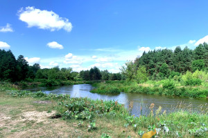 Działka na sprzedaż 21900m2 wołomiński Jadów Iły - zdjęcie 3