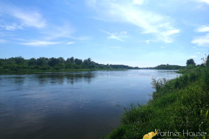 Działka na sprzedaż wyszkowski Wyszków Ślubów - zdjęcie 1