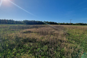 Działka na sprzedaż 31300m2 chełmski Rejowiec Fabryczny Zalesie Krasieńskie - zdjęcie 3